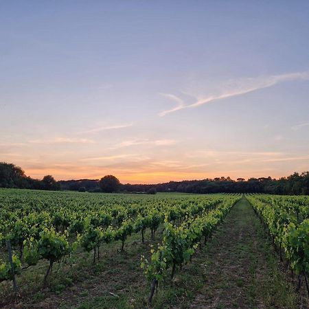 Appartamento Bastide Saint Supin Tourves Esterno foto