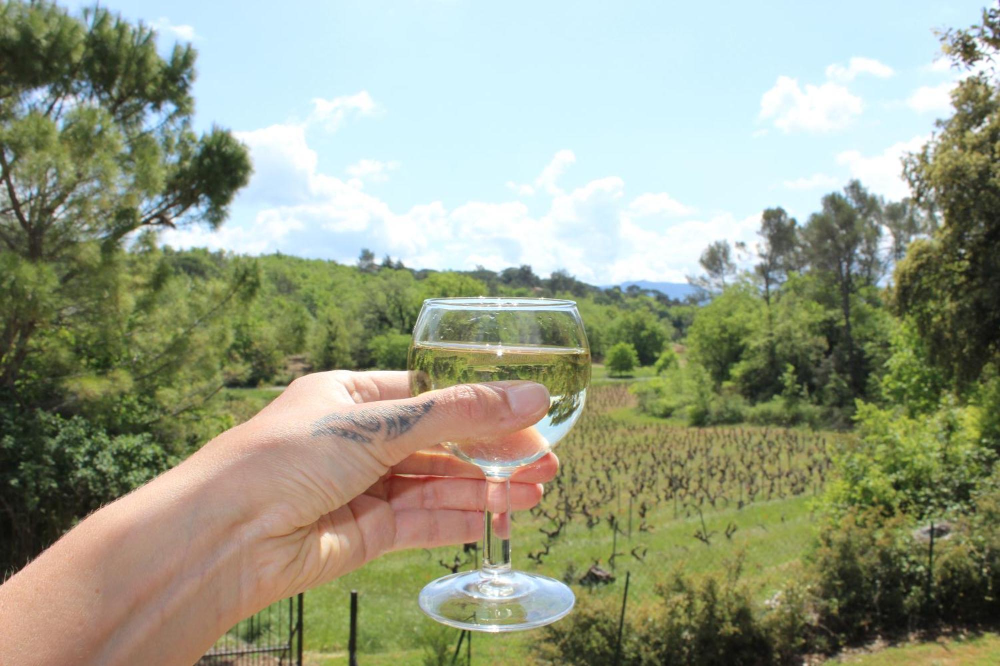 Appartamento Bastide Saint Supin Tourves Esterno foto