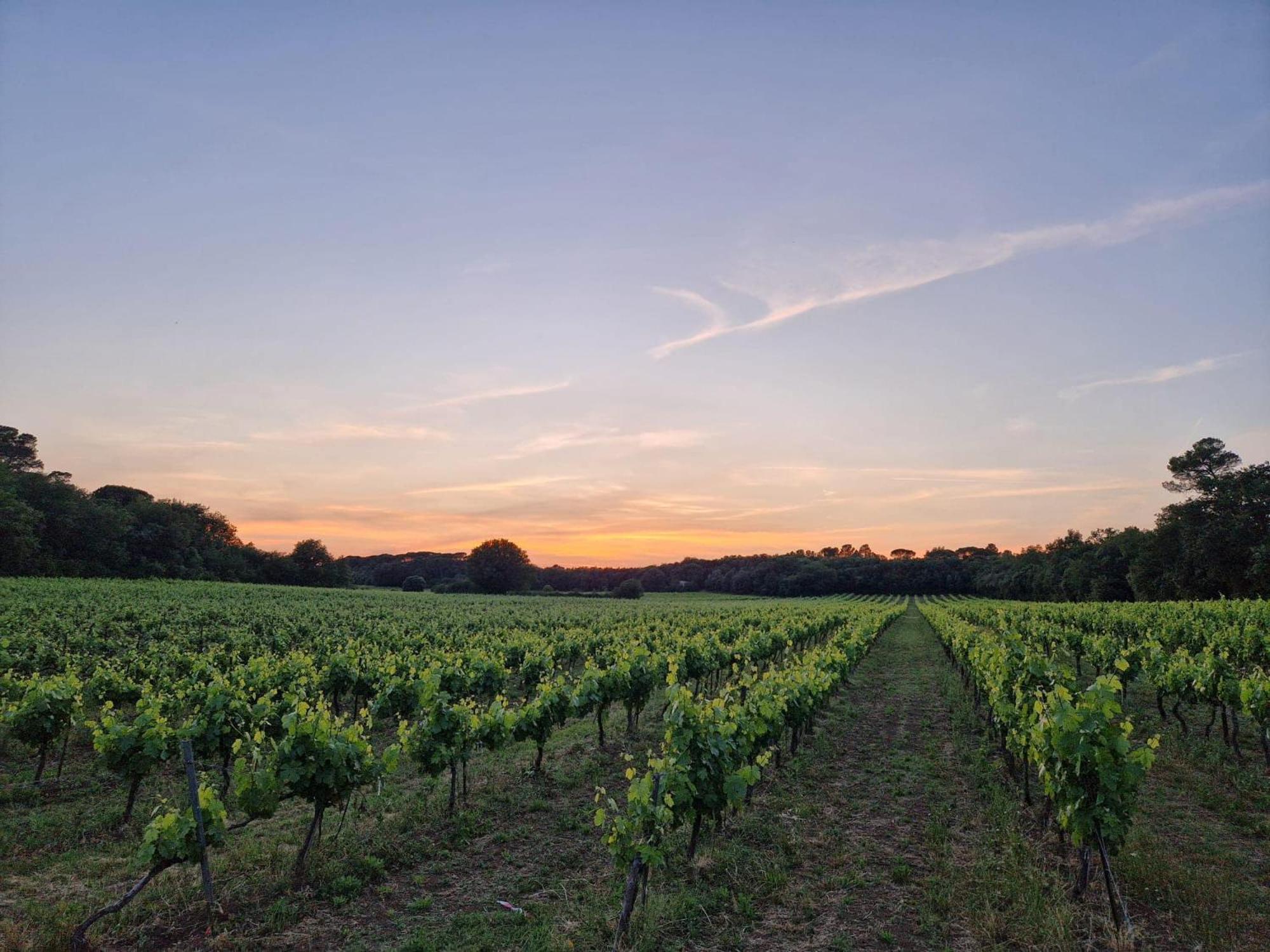 Appartamento Bastide Saint Supin Tourves Esterno foto