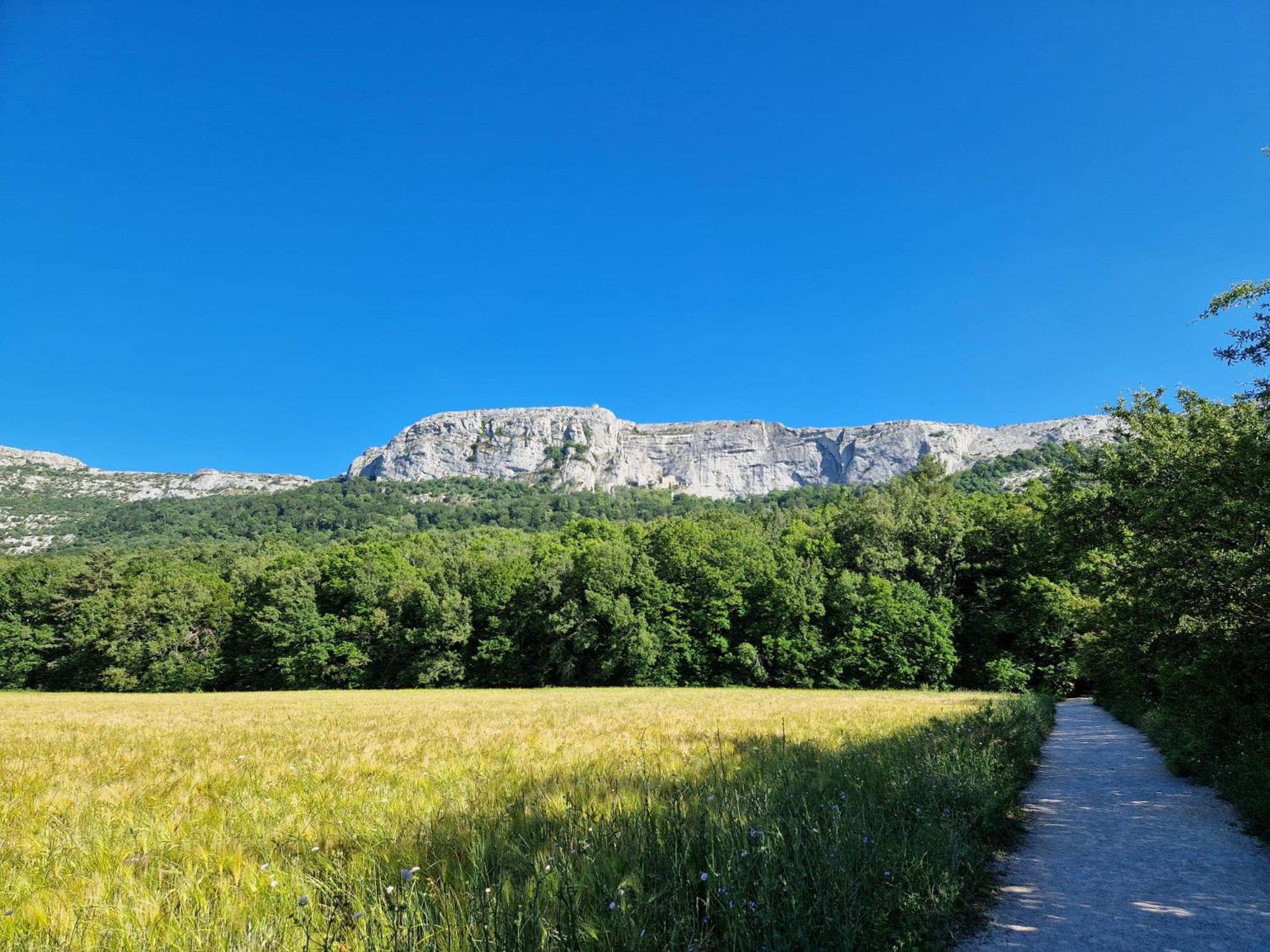 Appartamento Bastide Saint Supin Tourves Esterno foto